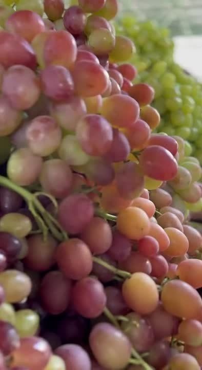 ���������� - �����������. �� ������ ����� �� 20 ������ �� ���������