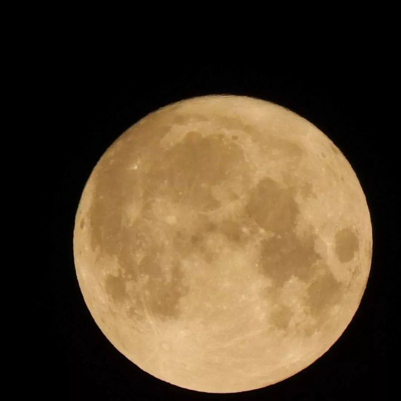 ����� ����. ���������� ����������