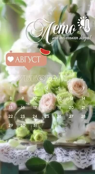 ������� ����! ����������� ����������!