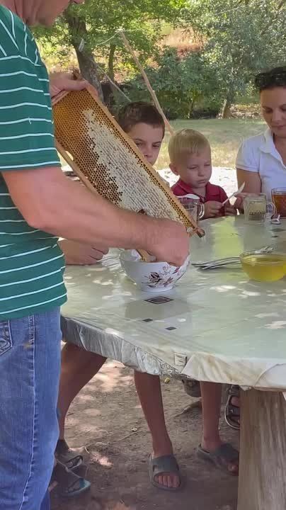 ��� ��������� ��������� �������� ������� ����: ����������� ������ ���� � ����� �����