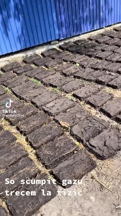 ������� ��������� � ����. ���� ���������� �������. ������� � ������������� ���������� � ������������� ������� ������ ����� ���� �������