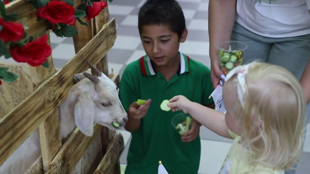 �����������, ˸��. ����� ������� �����, ������ � �����. ��� ������ �����-��������� ���. ˸�� ���� � ���������� ��������. ��� �������� ������� � ���������. �� ��������� � ����, ��������, ����� � ����