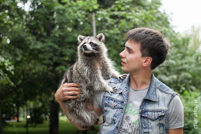 ��������� � ���������� ����