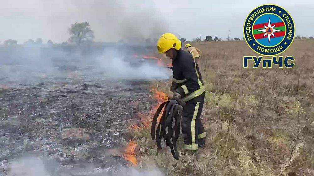 � ��������� ����� ����� �����, �������� 5-6 ��������