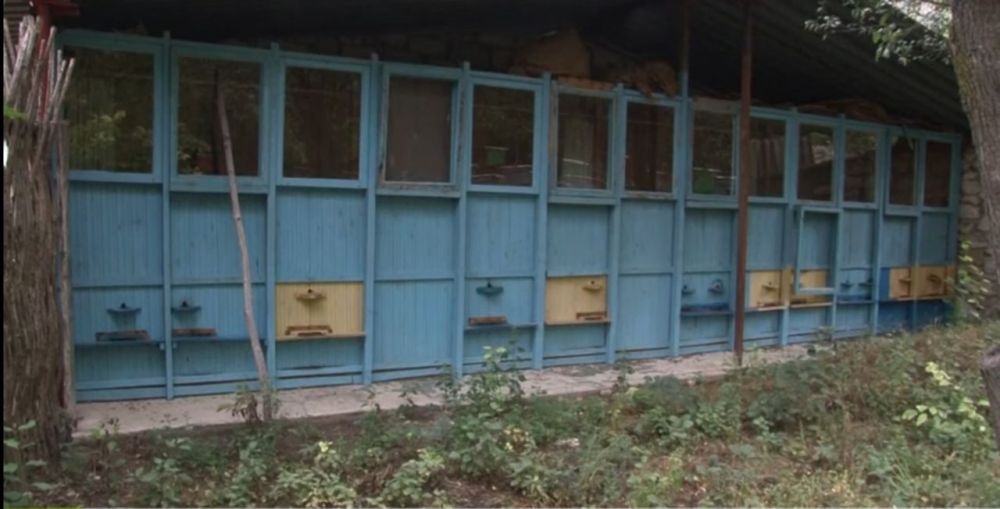 ����� � �������. ��� ������� ����� �������� �� �������� � ����� �� ������� ������