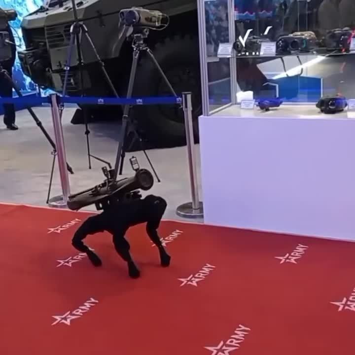 ������ � ������������ �� ����� �������� �� ������ ������-2022�