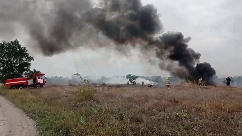 ����� � ���������: ����� ����� �����