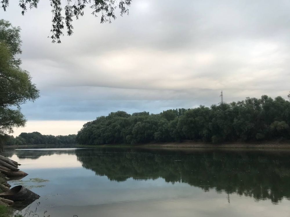 17 ������� ��������� ���������� ����������