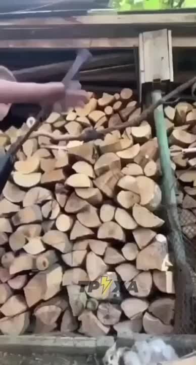 � ���������� 12-������ ����� ���������� �� ����� ������� �� ��������