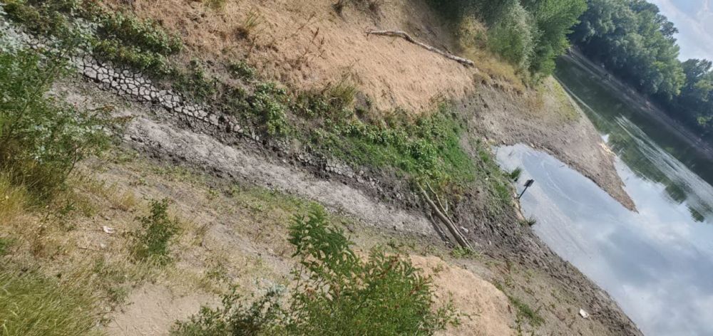 ��� ��������� ���� ����� ����� �����