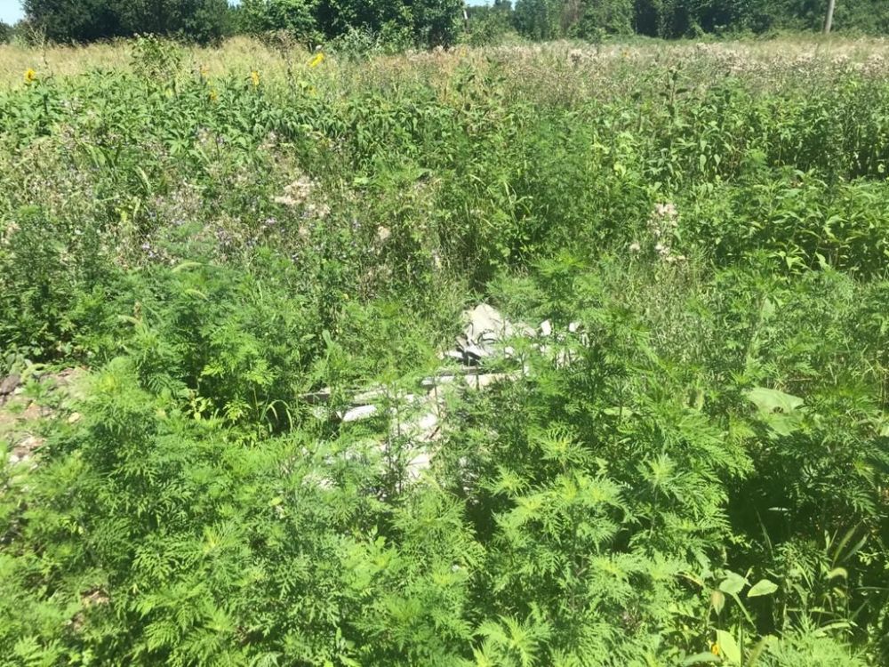 � ��� ������� ����� 1 ������ �������� �� ��������� ��������