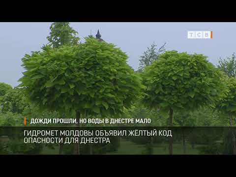 ��-�� ���������� ������� � ������� ������ �������� ������� ������� ������ ��� ��������� ��� �������. ��� ������ ���� � ����...