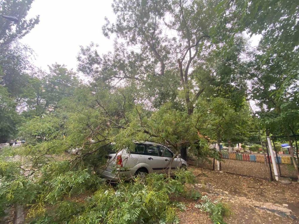 � ��������� �� ��������� ������ ����� �� ������