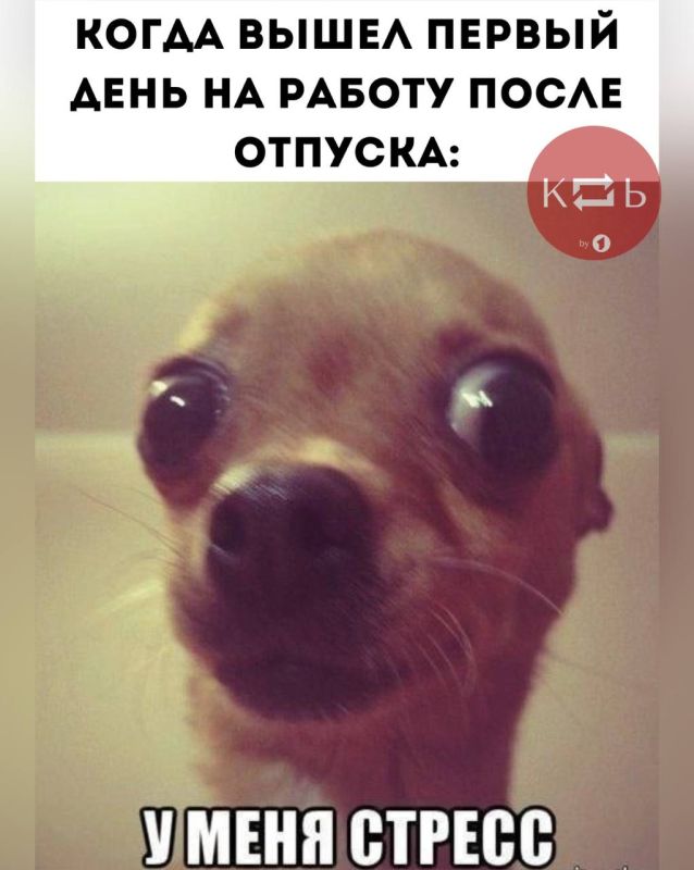 ��� ����� �� ������� �� ������