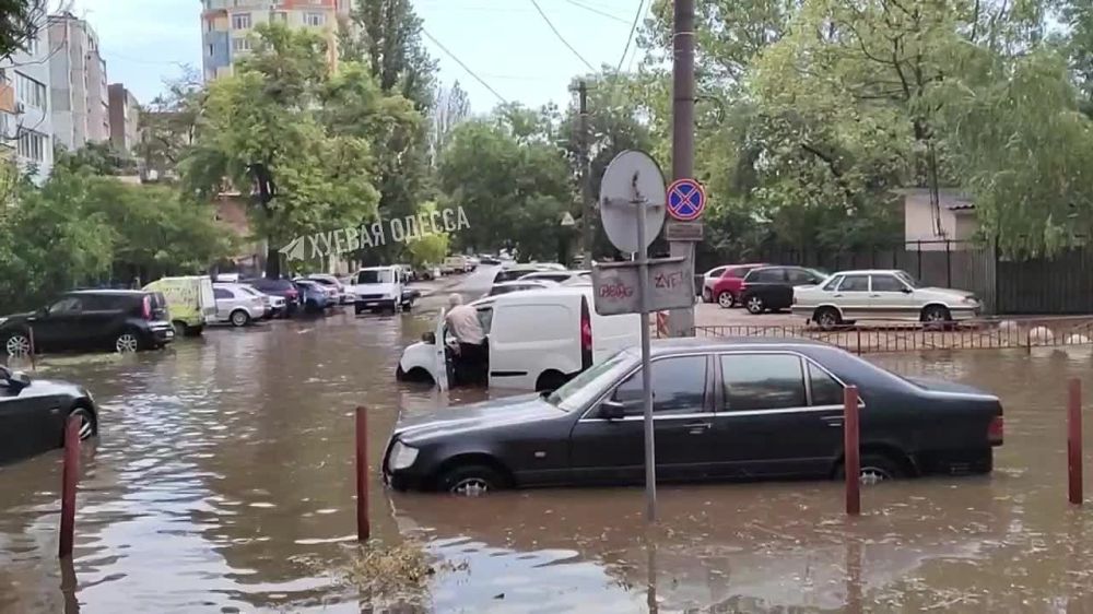 ������..