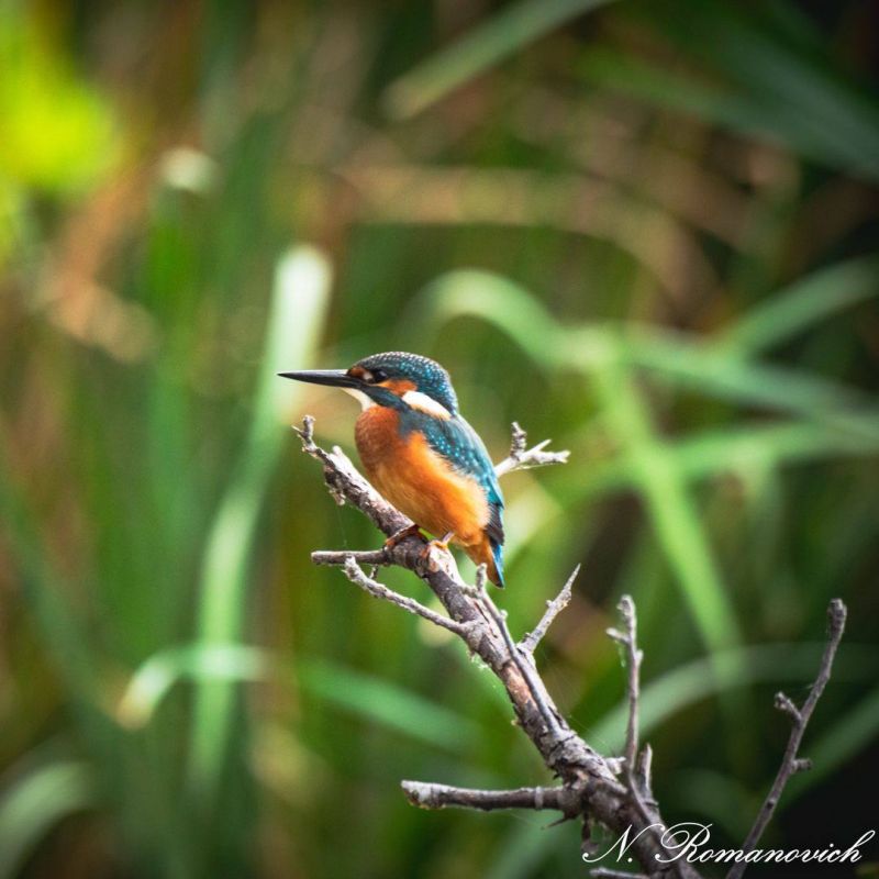 ������������� �� ��������� �������� �������� ����� ������� � �� �����������