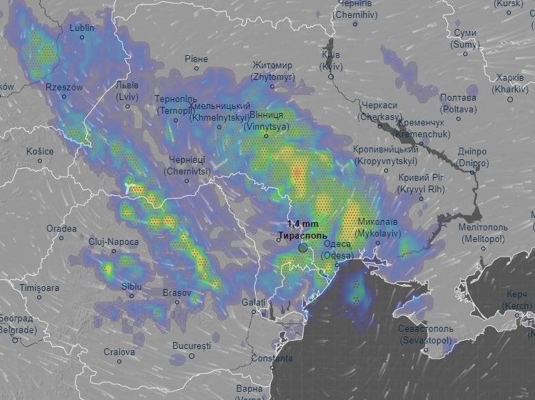 ��� ���� ����� �������� ������