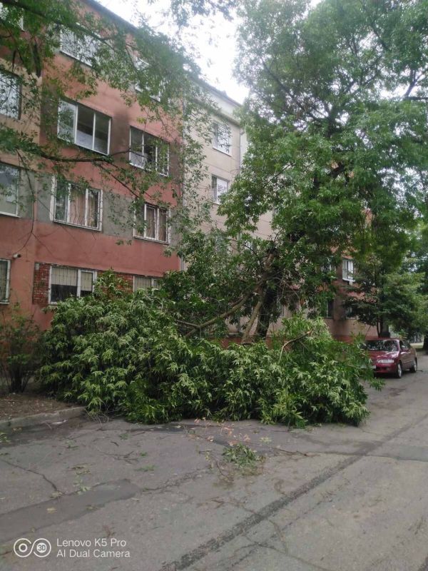 ������� ����� � ���� �� ��������, 1 ����� ����� ������