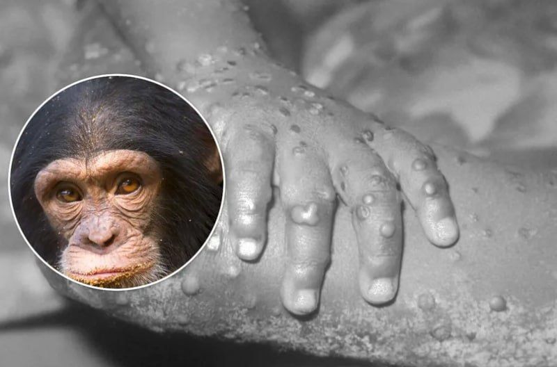 � ������� ������� ������ ������ ���� �������