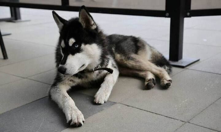 � ���������� �������� ������� ������