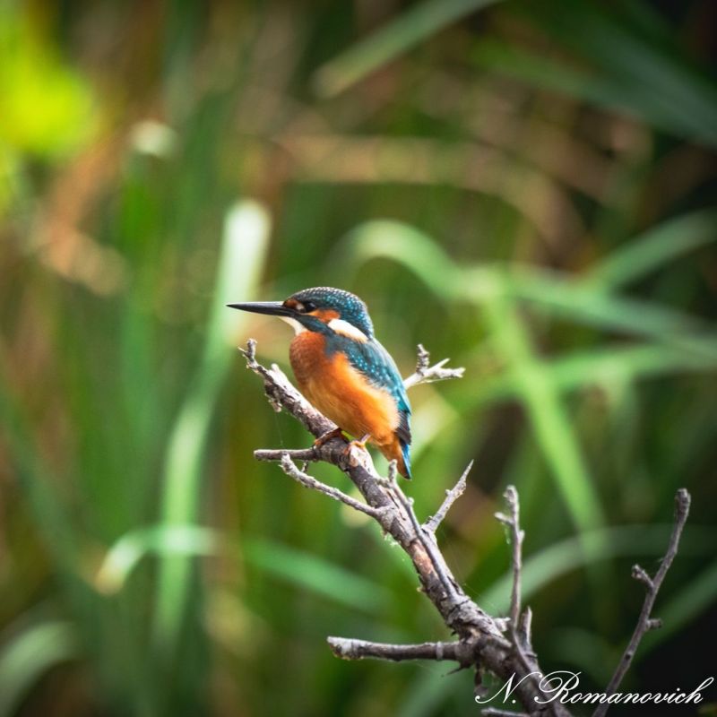 �������������� ������ � ��� ��� �������