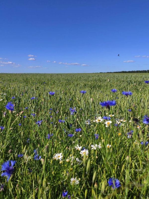 �������� ����. 19 ������� ������������� ��������� ���λ ���� ��������� ��� ����� ���������� �������� �������� �� ����� �������� ��������� ������ � ����� ��. �.�. ������ � ��������