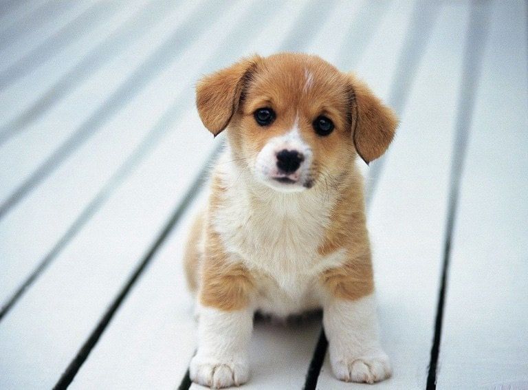 ������ �����!. ����������������� ����� ������� ���� ������� � �������. ����� �������� ������ ��� ������ � ������. ����� ���, ��������� � ������ ��������