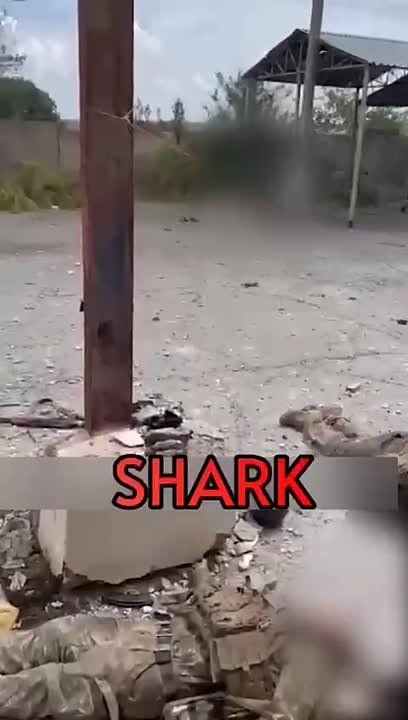 ��� ���������� ����������� � ���������� �����!