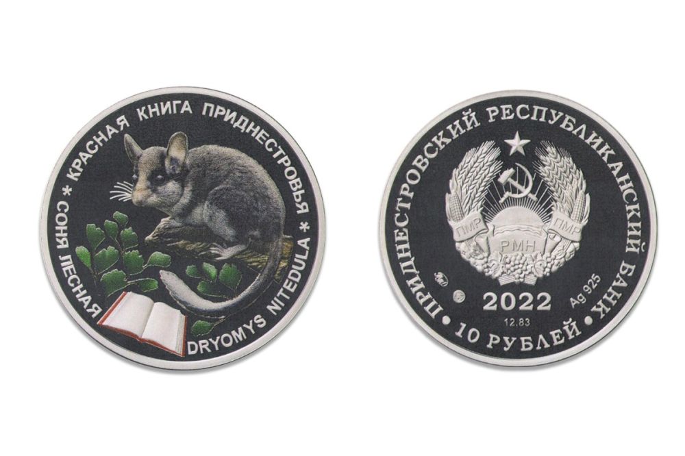 ��� ������ � ��������� ����� �������� ������ ����� �������