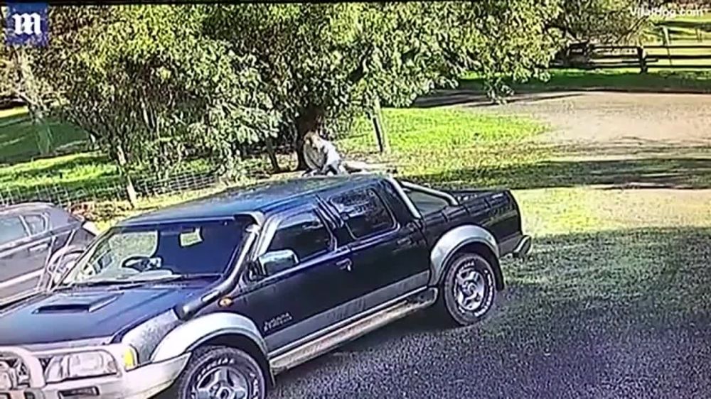 � ��� �� ��������� ���� ������� ������������ ����? ���, ��������, ������ �������������� ������� ���������� �� �������