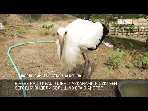 � ���� ��� ����������, ��������� � ������� ������� ������ ������� ���� ������. ����� ���� ��������� ��� ������, � ����� �������. ���� ����������� �����?