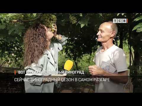 ����� ��������� ��������� � �������. �� ����� ������� ������ �� ����� ����. ��������� ������ �������� �� ������������, ��� �� ���� ������ ������� ����� ��� �����, ��� ���������� � ����������