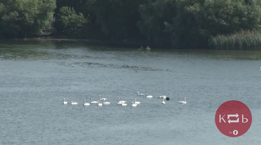 ��������� ���������� ��������� ��������