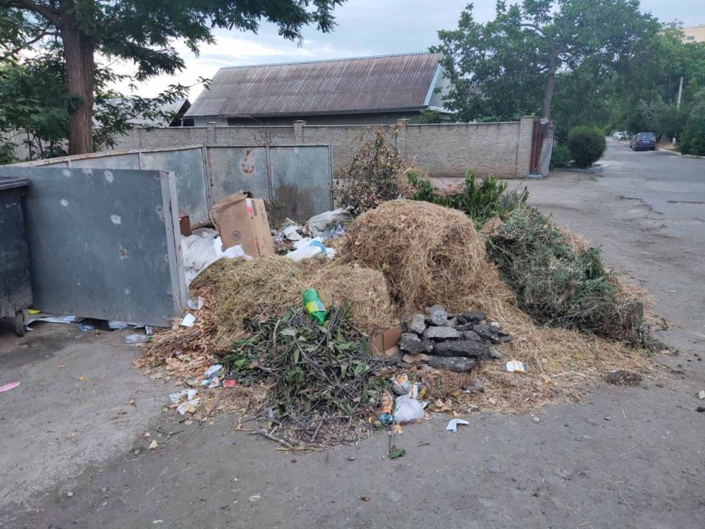 ������ ����� ������. ���������� ������������ ��������������� �� ������ ���������� ������ ��������������� � �������� �� ��������� 3 ���� ����������� �� �����, �������� �����-������ �������� ���������