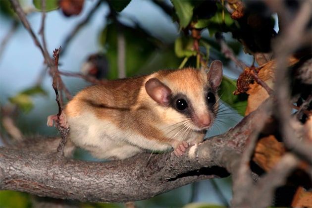 ��� ��� ����� �������� ������ ����� ���������� �� ��������������� �������