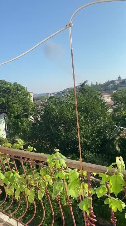 � ����������� ����������� �������� ���� ������������� �����