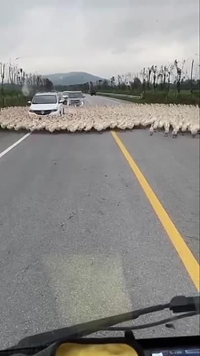 � ������ �� ������� �������� �� ������?