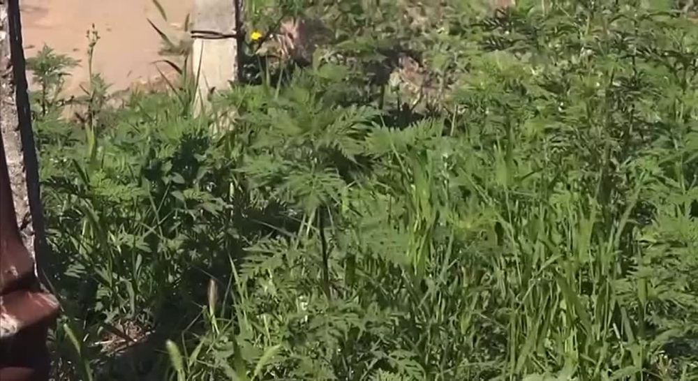 �� ��������� ������ �� ���� ������� ��������