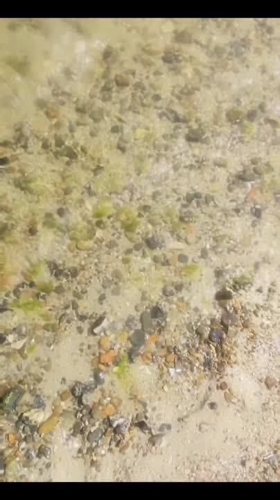 ����� �� ������������ ������