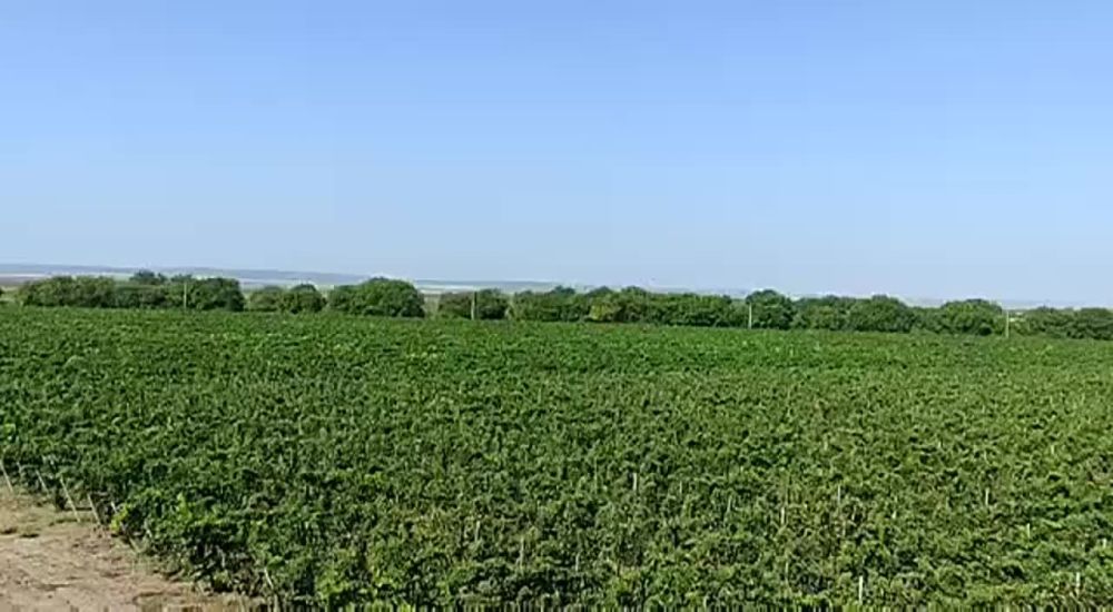 �������, ������, �������, ��������, ����-���, �������