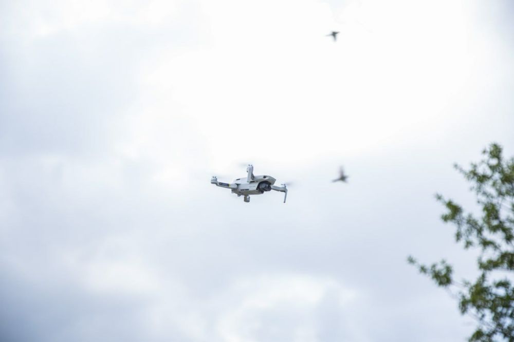 � ������� �� �������� ����������� ������� ������ � �������-1� ���� ������������ ������� ������������ ����������� ����������� �������� � ������������ �� ������ ��������������� �������