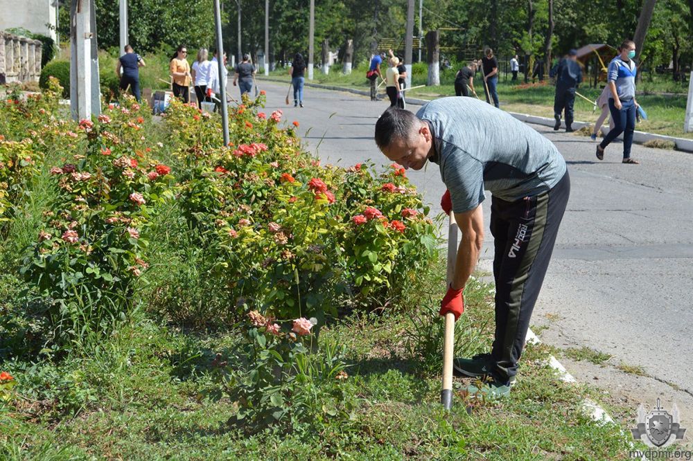 ������ � ������������� ������ ������������������� ���������