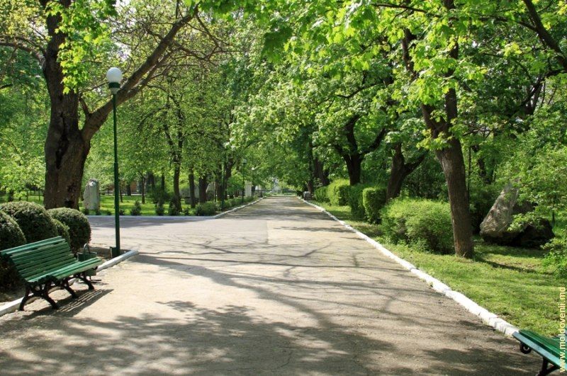 ��� ����������� �� ��� ������ � �������� ���� � ������� ������� � ��������� �����