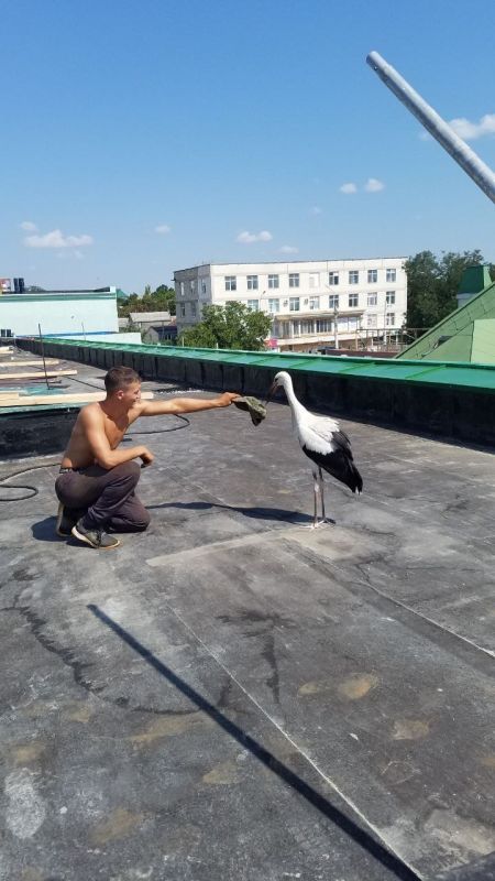 � ��������� ���� ������������ ��� ������������ ����� �� ������ �����