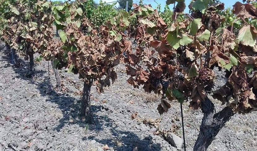 ��-�� ������ � ���������� �������� ����������� � ����