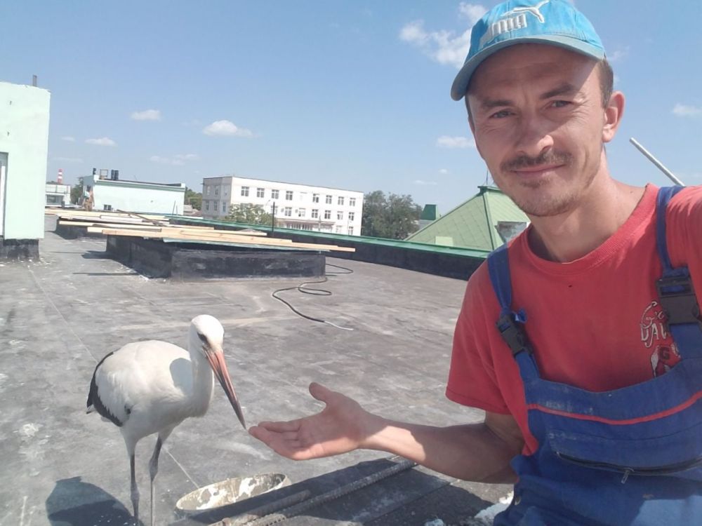 ��� ��������� ����� ��������� �������� �� ������� ����� � ���������� � ������