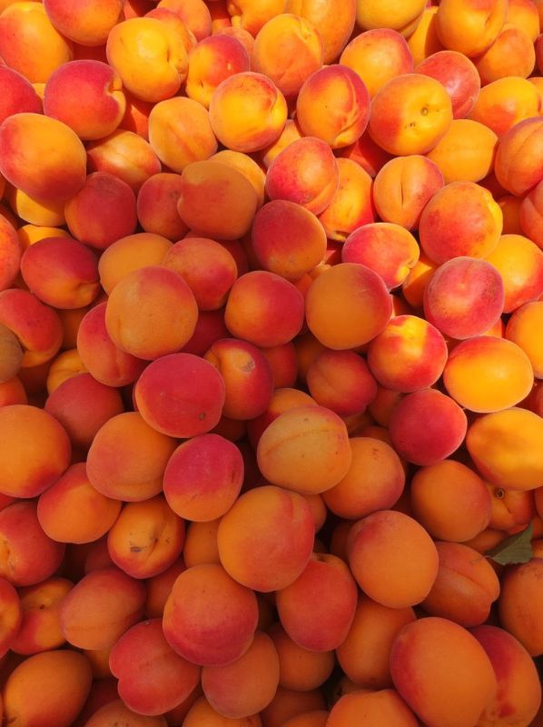 ��������� �������� ����� ������� �������� � �������������