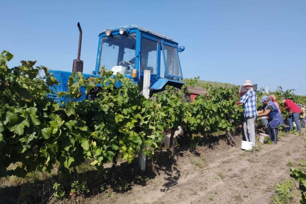 � ������������ ������ ������ ���������