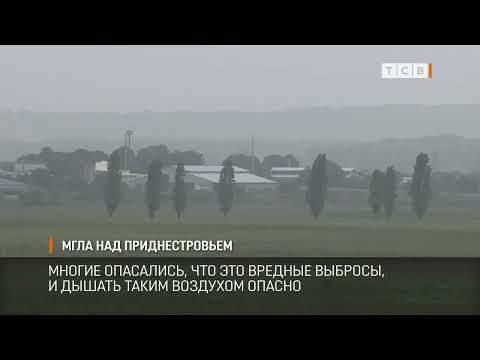 ���� � �����, ��������� �������� � �������, �������� ������� ������. ���-�� �������, ��� ��� ������� �������, � ������...