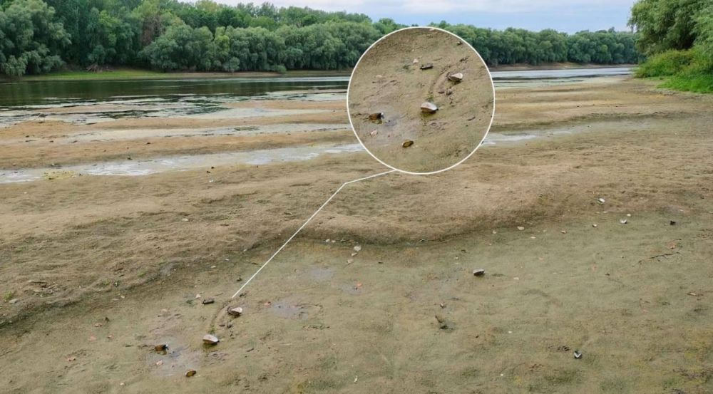 ��-�� ���� � ������� ������ ����� ���������, ��������� ����� ��������� ������� ���������: